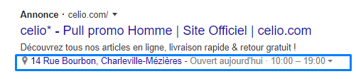 exemple extension de lieu google ads