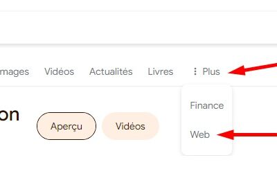 Uniquement des liens textuels dans les SERP : Google lance un nouveau filtre web